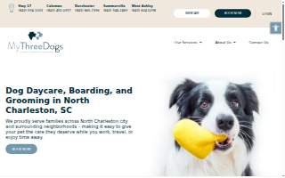 My Three Dogs Dorchester website