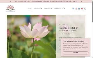 Holistic Dental And Wellness Center website