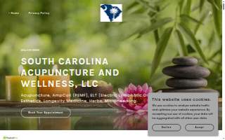 South Carolina Acupuncture Wellness website