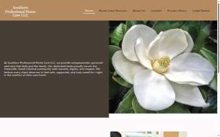 Southern Professional Home Care website