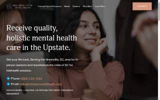 Mountain View Mental Health website