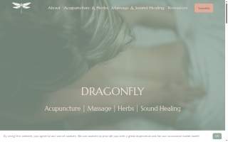 Dragonfly Acupuncture & Massage website