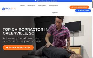MetaSpine Chiropractic website