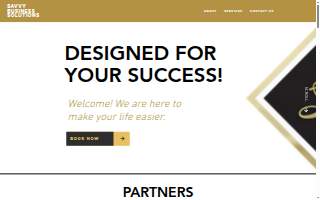 Savvy Business Solutions, LLC website