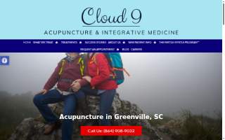 Cloud 9 Acupuncture & Integrative Medicine website