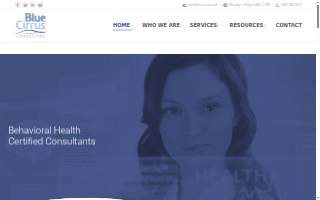 Blue Cirrus Consulting website