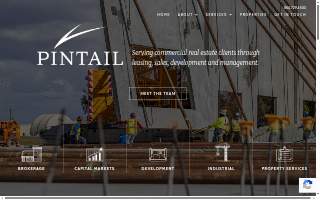 Pintail website