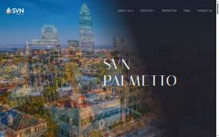 SVN | Palmetto website