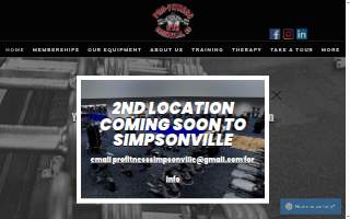 Pro-Fitness website