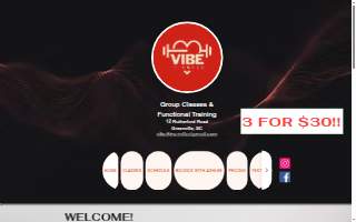 Vibe Fitness LLC website