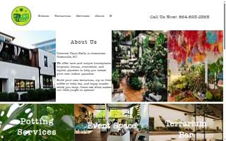 Plant Stella website