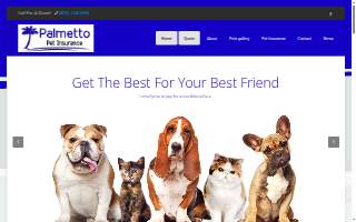 Palmetto Pet Insurance website
