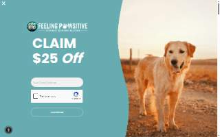 Feeling Pawsitive Veterinary Behavioral Solutions website