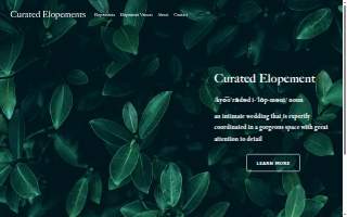 Curated Elopements website