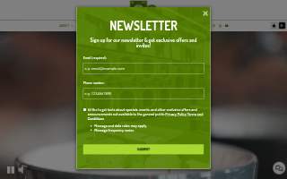 Green Laundry Lounge website