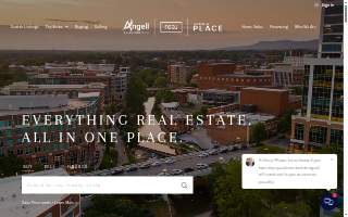 Angell Solutions website