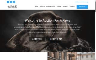 Auction for a Kaws website