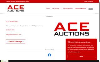 Ace Auctions website