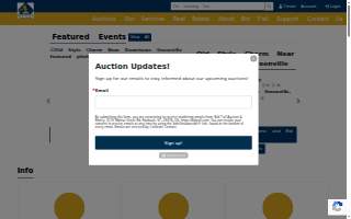 Bid Y'all Auction & Realty website