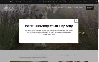 Second Chances Thrift Store website