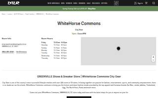 City Gear of Greenville website