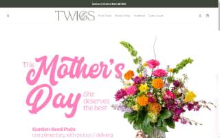 Twigs Inc website