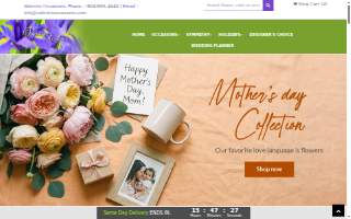 Valentin Occasions website