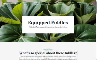 Equipped Fiddles website