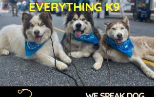 Everything K9 website