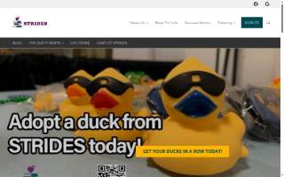 STRIDES Tutoring website