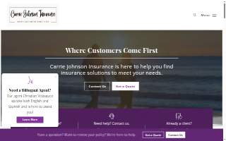 Carrie Johnson Insurance of Myrtle Beach website