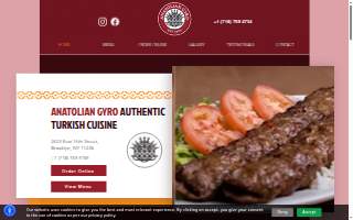 My Gyro website
