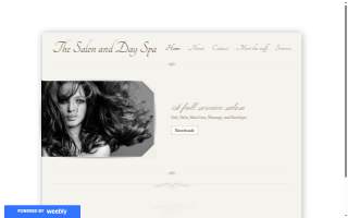 The Salon & Day Spa website