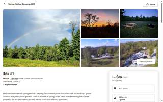 Spring Hollow Camping, LLC website
