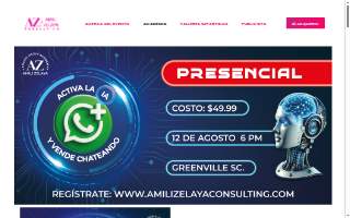 Amili Zelaya Consulting website
