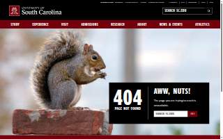 University-S Carolina Payrol website