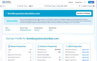 Best Buy Auto Sale of SC website