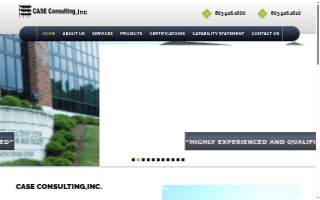 CASE Consulting website