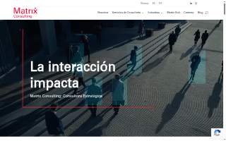 Matrix Consulting website