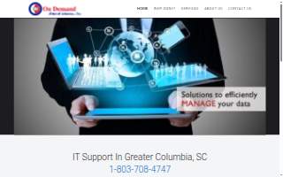 On Demand Network Solutions, Inc. website