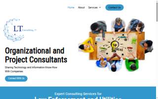 LT Consulting, LLC website
