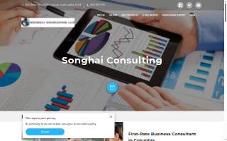 Songhai Consulting website
