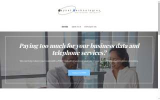 RAYNET Technologies LLC website