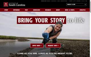 University of South Carolina- Division of Human Resources website