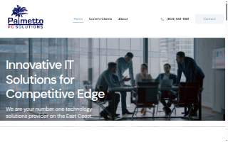 Palmetto PC Solutions website