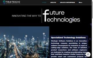 Strategic Software Solutions website