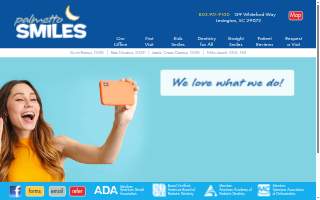 Palmetto Smiles website