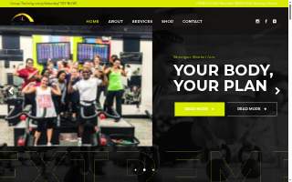 Next Level Performances website