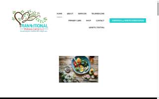 Transitional Wellness Center website