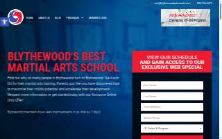 Blythewood Tae Kwon Do USA website
